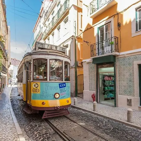 Roots - * Lisboa